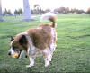 Tom with ball