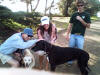 Dad with a couples Great Dane