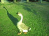 goose 2