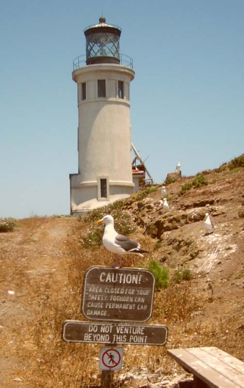 lighthouse2